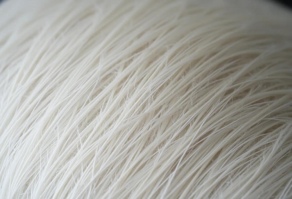 Hair strands